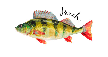 Perch