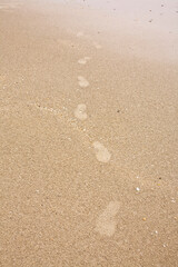 footprints on the beach