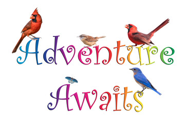 Adventure Awaits Poster with Songbirds