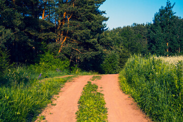 Country road in the countryside