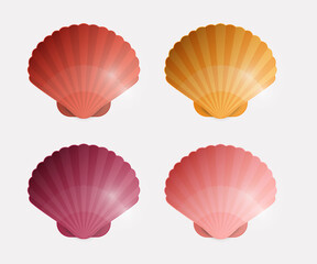 Colorful Seashells vector Illustration. Sea Shell Icons Set.