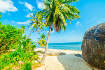 Beautiful tropical island beach, summer nature scene beach, blue sky and palm trees - Koh Samui  Thailand