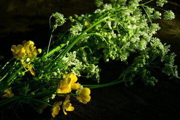 yellow flowers on the green background