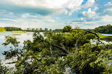 Tree destroyed by the storm inside of the lake