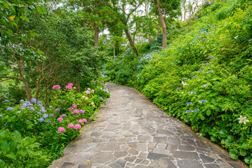 静岡県下田市下田公園のあじさい