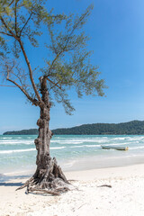Boat on the beach, saracen bay beach, koh rong samloem island, sihanoukville, Cambodia.