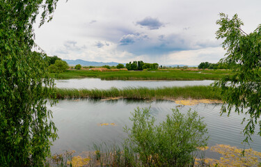 Pinarbasi district with reeds and lake and Emirdag mountain in background, Emirdag, Afyonkarahisar, Turkey