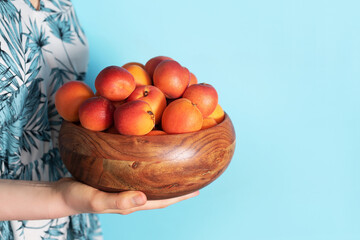 Woman hands holding wooden bowl of apricot on blue background. Banner with copy space. Fruit summer concept. Bowl of harvested apricots for jam