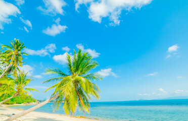 Fototapeta na wymiar Beautiful tropical island beach, summer nature scene beach, blue sky and palm trees - Koh Samui Thailand