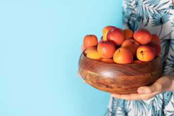 Woman hands holding wooden bowl of apricot on blue background. Banner with copy space. Fruit summer concept. Bowl of harvested apricots for jam