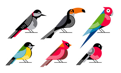 Birds flat vector illustration set. Geometry style woodpecker, toucan, parrot, blue tit, cardinal, bullfinch.