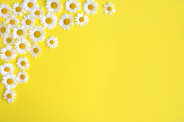 Yellow background with chamomile flowers and side space for design. Top view