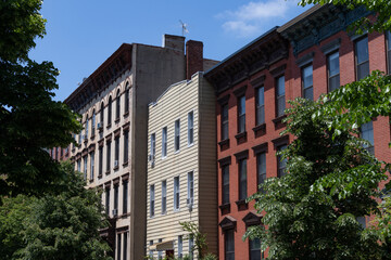 Fototapeta premium Row of Colorful Brick and Wood Residential Buildings with Green Trees in Greenpoint Brooklyn New York