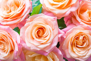 Floral background, bouquet of fresh roses, close-up