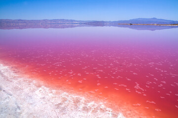 Fototapeta premium Beautiful pink Salt Lake of Shiraz, Iran.