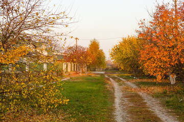 Autumn alley, fall background, yellow leaves