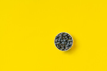 clean blueberry berries fruit isolated on the colorful surface, copy space, minimalist