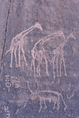 Obraz premium ROCK ART IN TASSILI NATIONAL PARK IN ALGERIA