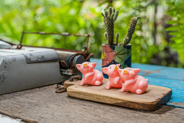 Three pink piggy dolls on the desk are placed near the typewriter With cactus  background is...