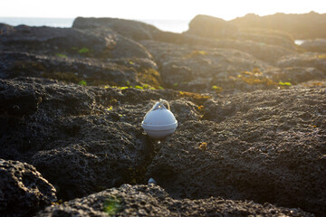 Please find this plastic house between rocks.