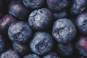 Texture blueberry berries close up. Blueberry background