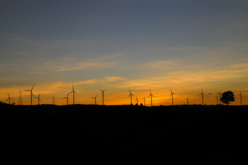 Obraz premium Wind turbines generating electricity with twilight sky - energy conservation concept