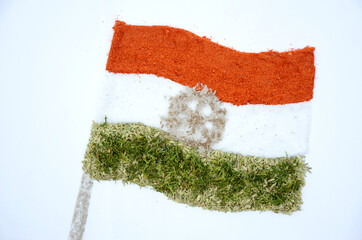 the indian flag red chilly, white salt, green anise on spice in the memorial day or veteran's day.