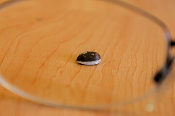 Sunflower seed