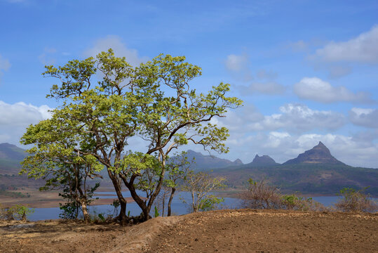 Landscape with water, mountains & beautiful blue and green colours on the way to Bhor in Pune, Maharashtra.