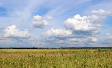 Obraz premium wheat field and blue sky