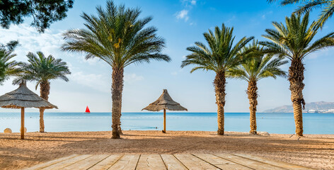 tropical beach with palm trees