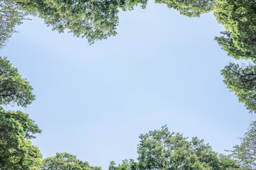 グリーンフレーム、春のフレーム、背景