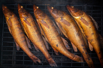 .The process of making smoked fish. Perch.