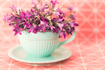 Pink bells in a light turquoise cup and saucer, side view. Flower bouquet in a coffee Cup close up