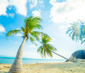Summer beach - palm tree, mountain on remote island, white sand, sea water, tropical nature