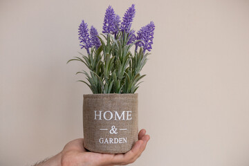 A pot of lavender