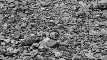 Scree on the beach Beautiful nature