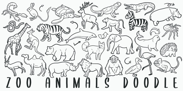 Zoo Animals Doodle Line Art Illustration. Hand Drawn Vector Clip Art. Banner Set Logos.