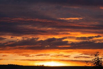 Sunset sky clouds. Sky clouds in the sunset.