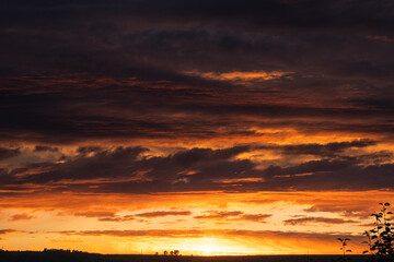 Fototapeta na wymiar Sunset sky clouds. Sky clouds in the sunset.