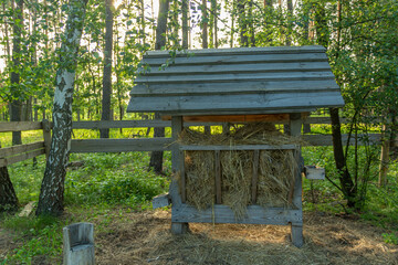 Feed manger for wild animals in a small clearing in the forest