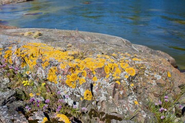 Cliffs and vegetation by in NOrdic archipelago