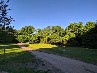 road in the park