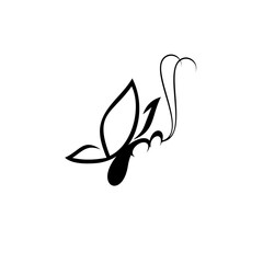 Graphic icon of butterfly, Butterfly tattoo isolated on white background,