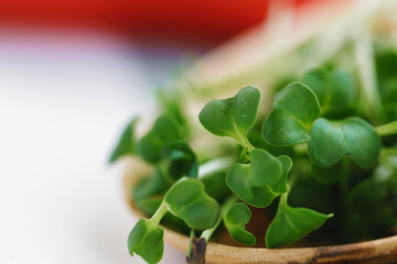 Micro greens in wooden spoon on cotton napkin