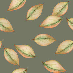 Green-orange leaves on gray background: tender pencil seamless pattern, hand drawn wallpaper design, floral textile print and wrapping paper texture.