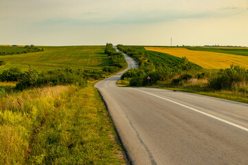 Naklejka premium country road in the field