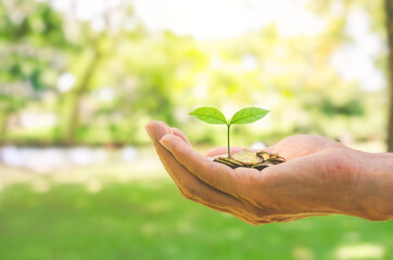 growth finance concept plant growing on coin in business man hand for wealth saving money and investment success.