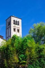 Fototapeta na wymiar Bell tower of the Church of San Giulio that rises from the trees with a blue sky. San Giulio Island, Lake Orta
