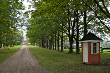 Farm with treelined dirt road in Ontario, Canada.